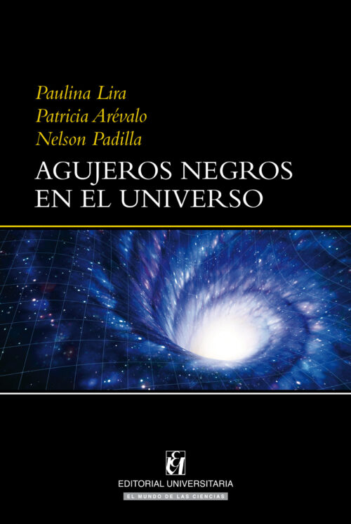 Agujeros Negros en el Universo ebook